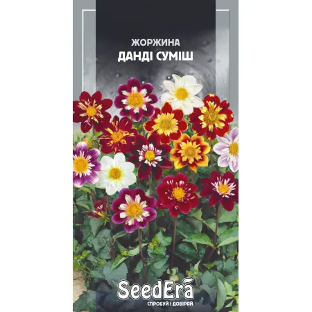 Жоржина мінлива Данді суміш 0,5 г - Насіння