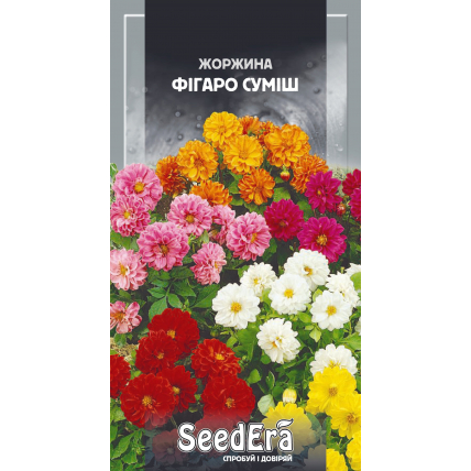 Георгина переменная Фигаро Смесь 0,5 г - Семена - Страница 87