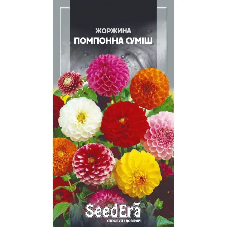 Жоржина мінлива Помпонна суміш 0,5 г - Насіння