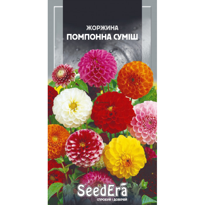 Георгина переменчивая Помпонная Смесь 0,5 г - Семена