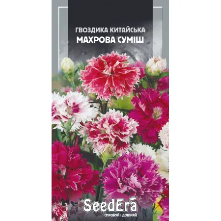 Гвоздика китайська Махрова Суміш однорічна 0,2 г - Насіння