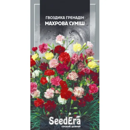 Гвоздика садова гренадін Махрова Суміш дворічна 0,3 г - Насіння