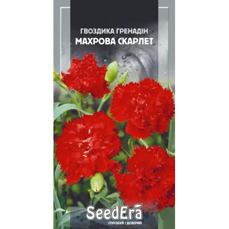 Гвоздика садова гренадін Махрова Скарлет дворічна 0,2 г - Насіння