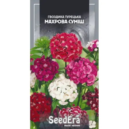 Гвоздика турецька Махрова Суміш дворічна 0,5 г - Насіння