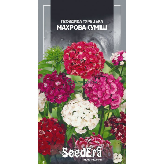 Гвоздика турецкая Махровая Смесь двухлетняя 0,5 г - Семена