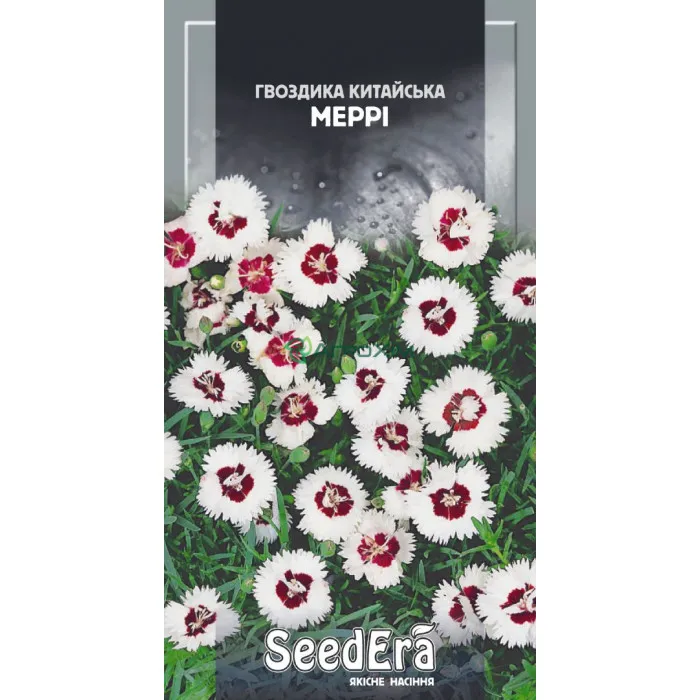 Гвоздика китайская Мерри однолетняя 0,2 г - Семена