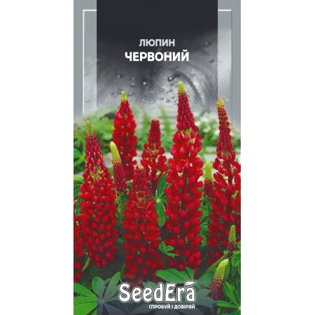 Люпин Червоний багаторічний 0,5 г - Насіння