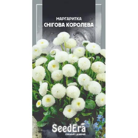 Маргаритка Снігова Королева дворічна 0,1 г - Насіння