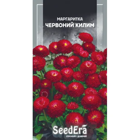 Маргаритка Червоний Килим дворічна 0,1 г - Насіння