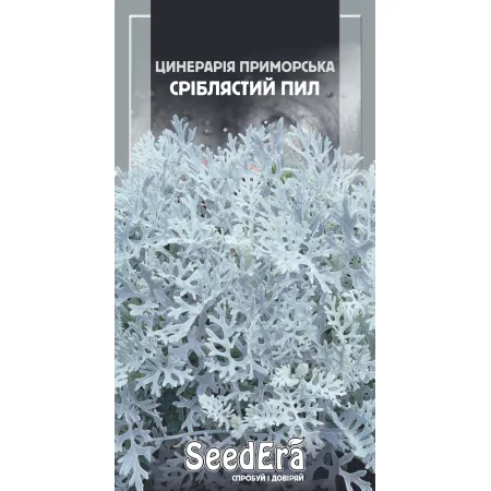 Цинерарія приморська Сріблястий Пил 0,1 г - Насіння