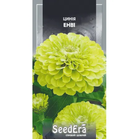 Цинія високоросла елегантна Енві 0,5 г - Насіння