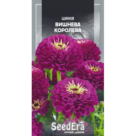 Цинія високоросла елегантна Вишнева Королева 0,5 г - Насіння