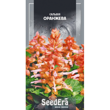 Сальвия сплендес Оранжевая 0,2 г - Семена - Страница 60