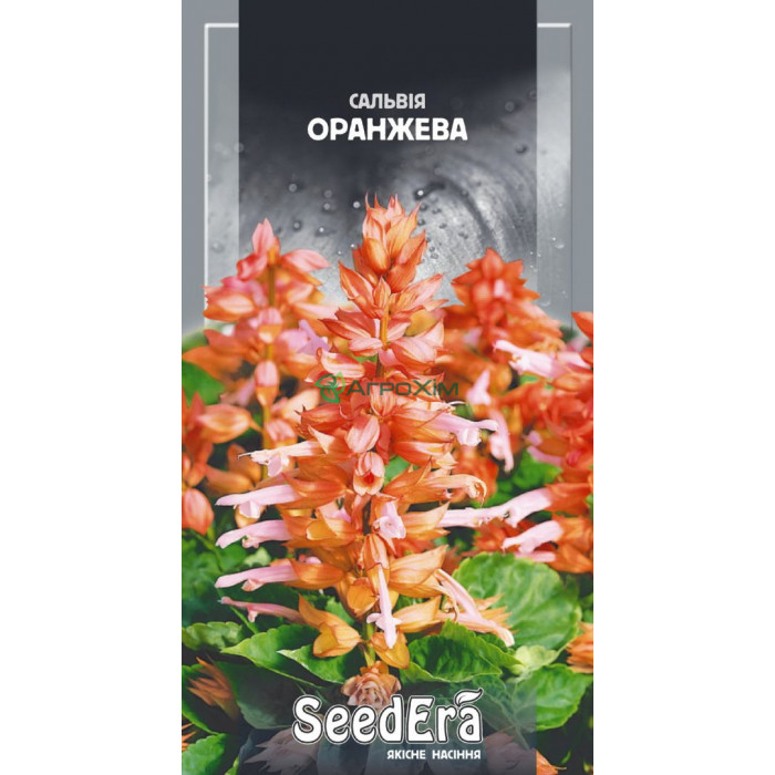 Сальвия сплендес Оранжевая 0,2 г - Семена