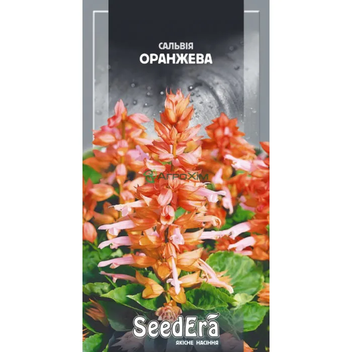 Сальвия сплендес Оранжевая 0,2 г - Семена