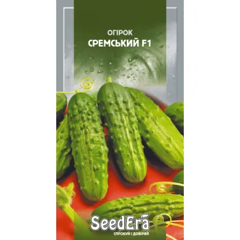 Огірок Сремський F1 0,5 г (Польща) - Насіння