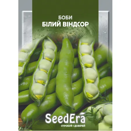 Бобы Белый Виндсор 10 шт - Семена