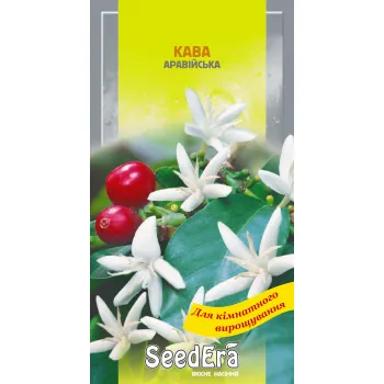 Кофе Аравийский комнатный 10 шт. - Семена