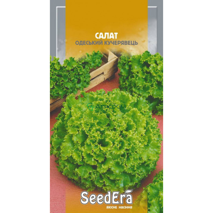 Салат Кучерявец Одесский 10 г - Семена